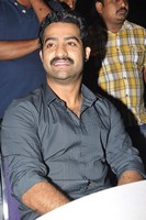NTR Stills at Baadshah Success Meet